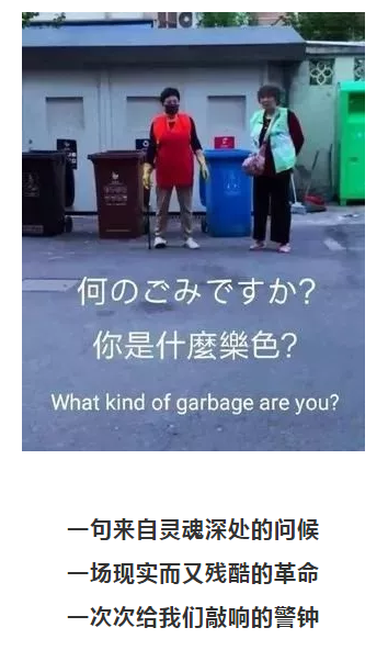 你被“垃圾分類”洗腦了嗎？揭秘強(qiáng)制分類背后的驚天秘密！-