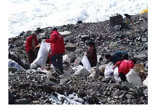 你被“垃圾分類”洗腦了嗎？揭秘強(qiáng)制分類背后的驚天秘密！-