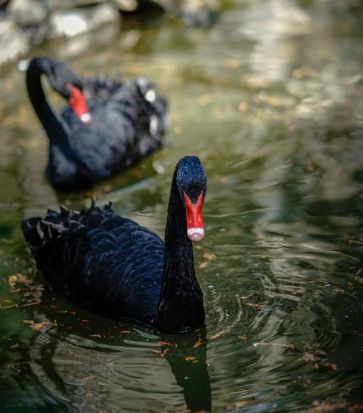 被評(píng)為“上海名牌”產(chǎn)品，這家企業(yè)究竟為民族閥門工業(yè)盡了多少力量？-