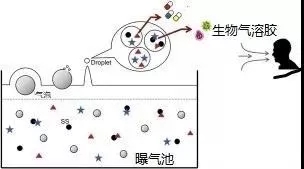 污水廠內(nèi)的生物氣溶膠怎么產(chǎn)生，污水從業(yè)人員如何做好防護(hù)？-