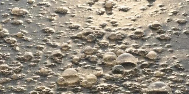 污水廠內(nèi)的生物氣溶膠怎么產(chǎn)生，污水從業(yè)人員如何做好防護(hù)？-