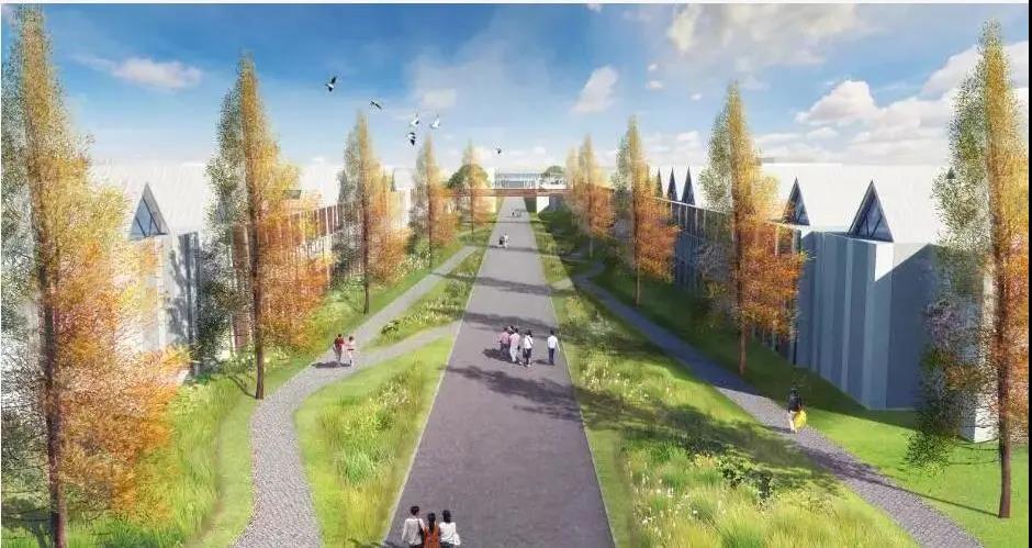 國內(nèi)超大污水處理廠竹園四期初 步設(shè)計通過評審-