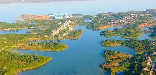 不斷加速的淘汰賽中，泵管閥“后浪們”為活下去而戰(zhàn)！