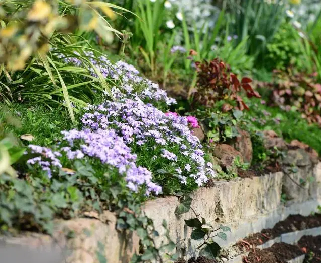南北花園給排水問題差異大，你知道嗎？-