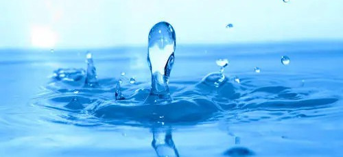 碳中和也內(nèi)卷？歐洲啤酒巨頭將用污水釀酒