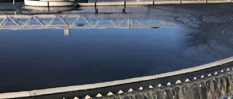 再生水利用率高達50%！看北控水務這座污水廠玩轉(zhuǎn)資源化