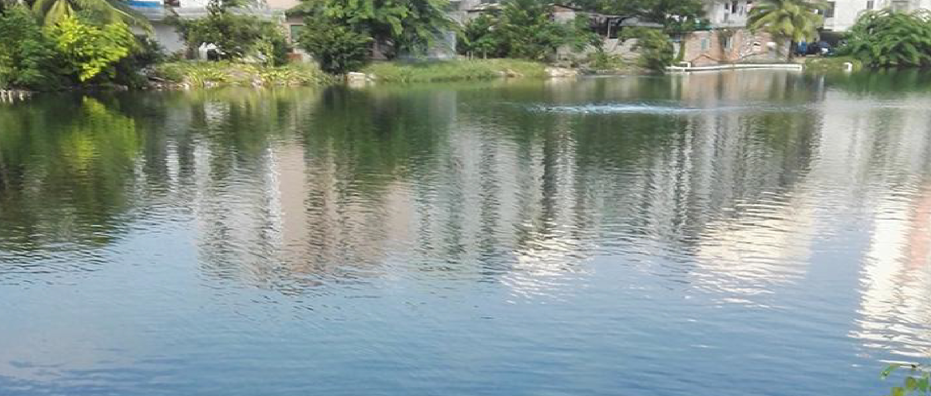 2023黑臭水體整治新動作不斷！問題到底怎么破？