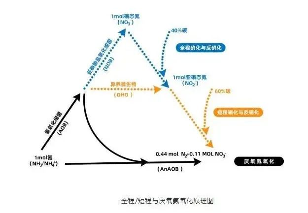面對低濃度氨氮工業(yè)廢水束手無策？這幾種方法可以解決-