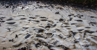 換季污泥膨脹，怎么辦？