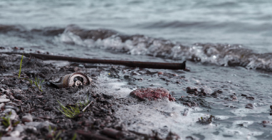 103條黑臭水體！江蘇2024年全省農(nóng)村環(huán)境整治工作計(jì)劃！