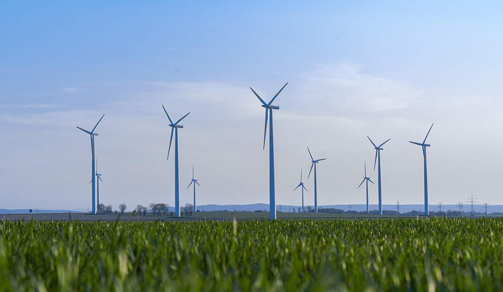 “借船出海”！中節(jié)能國禎用“技術(shù)+運(yùn)營”打造核心優(yōu)勢